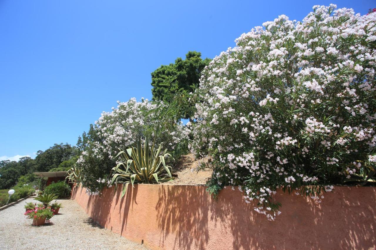 Ca' La Stella Sea-View Apartments Porto Azzurro Εξωτερικό φωτογραφία